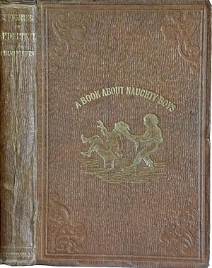 Imagen del vendedor de A Book about Naughty Boys. Or, The Sufferings of Mr. Delteil a la venta por J. Patrick McGahern Books Inc. (ABAC)