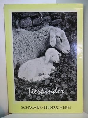 Bild des Verkufers fr Tierkinder. 42 Bildtafeln zum Verkauf von Antiquariat Weber