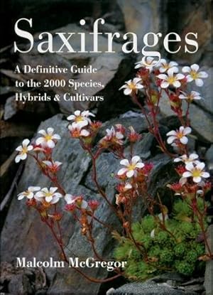 Saxifrages : A Definitive Guide to the 2000 Species, Hybrids & Cultivars