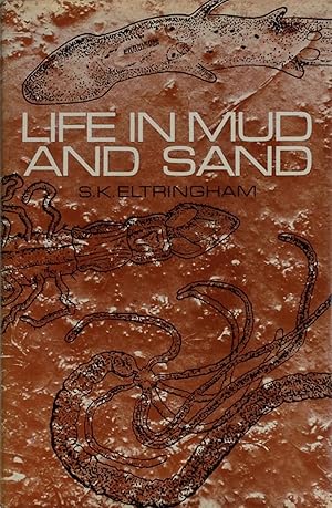 Bild des Verkufers fr Life in mud and sand zum Verkauf von Acanthophyllum Books