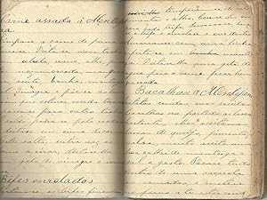 MANUSCRITO: Caderno manuscrito com receitas de culinária