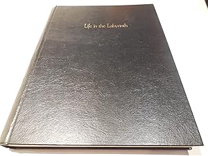 Seller image for Life in the Labyrinth for sale by Veronica's Books