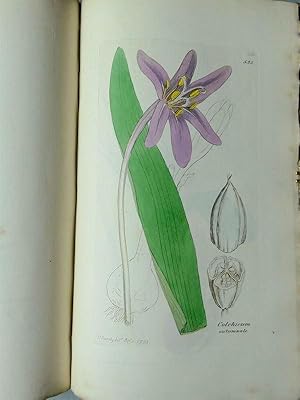 English Botany; or Coloured Figures of British Plants, with their essential characters, synonyms,...