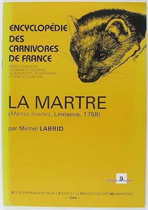 La martre (Martes martes, Linnaeus, 1758)