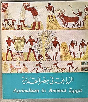 Agriculture in Ancient Egypt