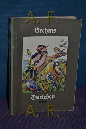 Imagen del vendedor de Brehms Tierleben / III. Teil (3.Teil) / Ausgewhlt fr Schule und Haus von einer Arbeitsgemeinschaft unter Leitung a la venta por Antiquarische Fundgrube e.U.