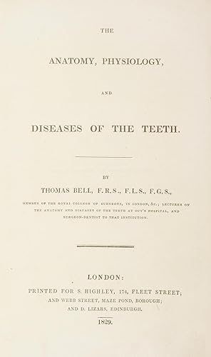 The anatomy, physiology, and diseases of the teeth.