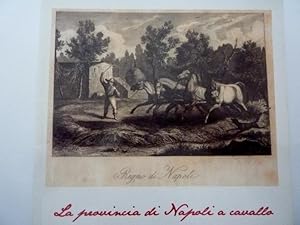 LA PROVINCIA DI NAPOLI A CAVALLO