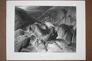 The death of the Stag, Hirsch, Wolf, Fluss, Stahlstich um 1880 von J. Cousen nach Sir Edwin Lands...