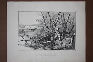 Wild Duck Shooting, Wildenten, Jäger, Hund, Gewehr, See, Lithographie um 1860 nach C.H. Weigall, ...