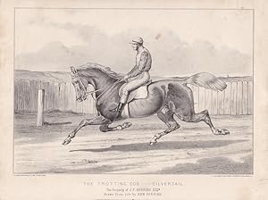 Jockey, The trotting cob - Silvertail, Rennpferd, Lithographie um 1870 nach Ben Herring, Blattgrö...