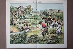 Die Wiese, Bauern, Heu, Sense, Dorf, Mühle, Schafe, altkolorierter Holzstich um 1890 mit ländlich...