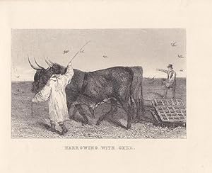 Harrowing with oxen, Egge, Ochsen, Stahlstich um 1830, Blattgröße: 13,5 x 16,8 cm, reine Bildgröß...
