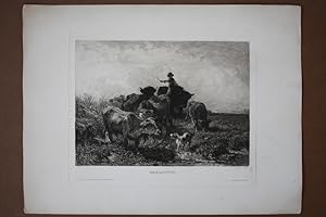 Thierstück, Rinder, Alm, Weide, Hund, Radierung um 1885 von Unger nach Braith, Blattgröße: 30 x 4...