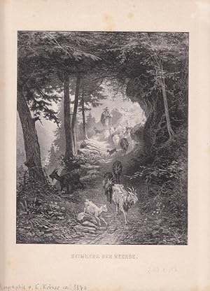 Heimkehr der Heerde, Ziegen, Hirte, original Lithographie um 1870 von C. Kröner, Blattgröße: 29,5...