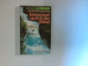 Schneisen durch die Bibel : Entdeckungen im Buch der Bücher.