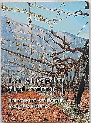 La strada del vino. Itinerari viticoli nel Trentino.