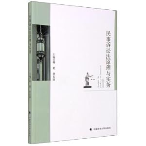 Imagen del vendedor de Principles and Practice of Civil Procedure(Chinese Edition) a la venta por liu xing