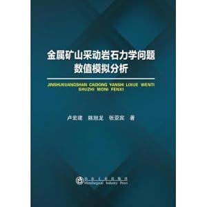 Immagine del venditore per Metal mine mining rock mechanics problems Numerical Simulation Analysis(Chinese Edition) venduto da liu xing