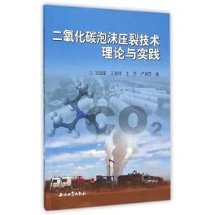 Immagine del venditore per Carbon dioxide foam fracturing technology theory and practice(Chinese Edition) venduto da liu xing