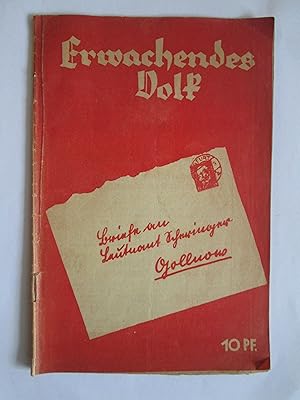 Erwachendes Volk : Briefe an Leutnant a.D. Scheringer