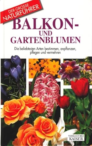 Seller image for Der grosse Naturfhrer ~ Balkon- und Gartenblumen - Die beliebtesten Arten bestimmen, anpflanzen, pflegen und vermehren. for sale by TF-Versandhandel - Preise inkl. MwSt.