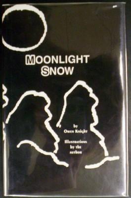 Moonlight Snow