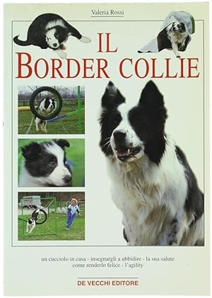 IL BORDER COLLIE.: