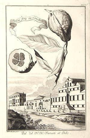 Bild des Verkufers fr Pal. del N.H. Farseti al Dolo. zum Verkauf von libreria antiquaria perini Sas di Perini