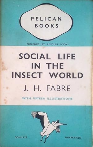 Social life in the insect world