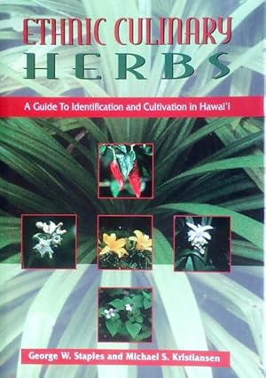 Ethnic culinary herbs