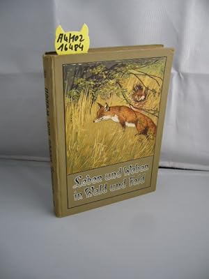 Seller image for Leben und Weben in Wald und Feld. Fr die Jugend herausgegeben. Volksausgabe. for sale by Schuebula