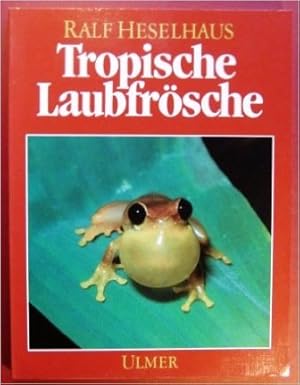 Tropische Laubfrösche