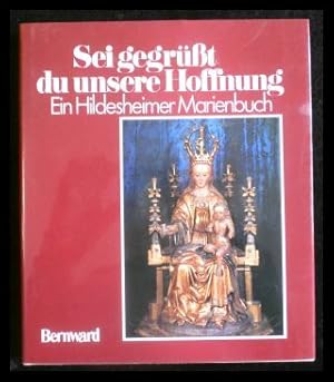 Image du vendeur pour Sei gegrt, du unsere Hoffnung Ein Hildesheimer Marienbuch mis en vente par ANTIQUARIAT Franke BRUDDENBOOKS