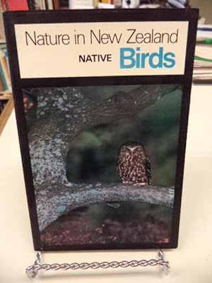 Native Birds - Nature in New Zealand