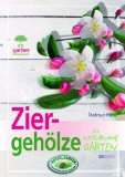 Bild des Verkufers fr Ziergehlze fr naturnahe Grten. AVBuch Garten kurz & gut Natur im Garten zum Verkauf von Kirjat Literatur- & Dienstleistungsgesellschaft mbH