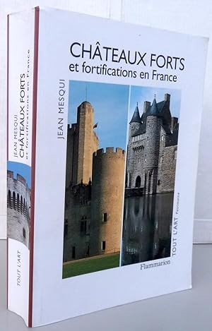 Châteaux forts et fortifications en France
