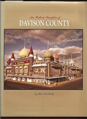Image du vendeur pour Davison County: An Historic Sampler mis en vente par Warren Hahn