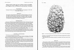 Image du vendeur pour Redescription of the egg mass of Melo miltonis (Griffith and Pidgeon, 1834) (Mollusca, Prosobranchia, Volutidae). In 8vo, pp. 6 with 2 figs. From J. Malac. Soc. Austr., 14 mis en vente par NATURAMA