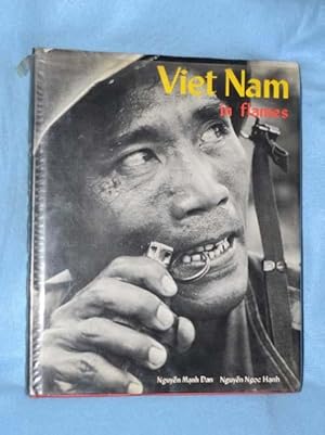 Viet Nam in Flames