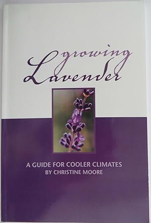 Growing Lavender: A Guide for Cooler Climates