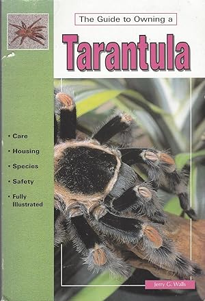 Guide To Owning A Tarantula, The