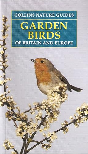 Seller image for GARDEN BIRDS OF BRITAIN AND EUROPE. By Detlef Singer. Translated and adapted by Ian Dawson. COLLINS NATURE GUIDES. for sale by Coch-y-Bonddu Books Ltd