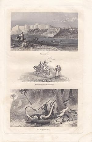 Hyderabad, Skinners indisches Freicorps, Die Riesenschlange, Stahlstich um 1840 von A. Dworzack i...