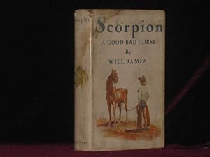 SCORPION a Good Bad Horse