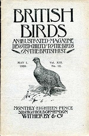 Seller image for British Birds An Illustrated Magazine devoted chiefly to the birds on the British List, volume XIII No 12, May 1, 1920 for sale by Pendleburys - the bookshop in the hills