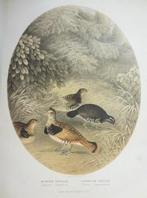 THE SPORTSMAN AND NATURALIST IN CANADA or, Notes on the Natural History of the Game, Game Birds, ...