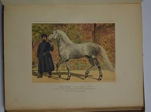 Les races chevalines avec une étude spéciale sur les chevaux Russes.