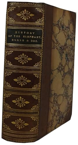 The Elephant Principally Viewed in Relation to Man [bound with] The History of the Horse: Its Ori...