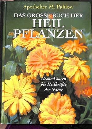 Das grosse Buch der Heilpflanzen Gesund durch die Heilkräfte der Natur von Manfred Pahlow Rezepte...